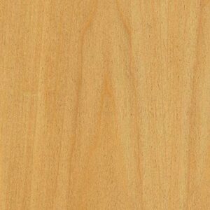 High-quality Shaker Poplar w MDF Panel Door | New England Cabinet Doors