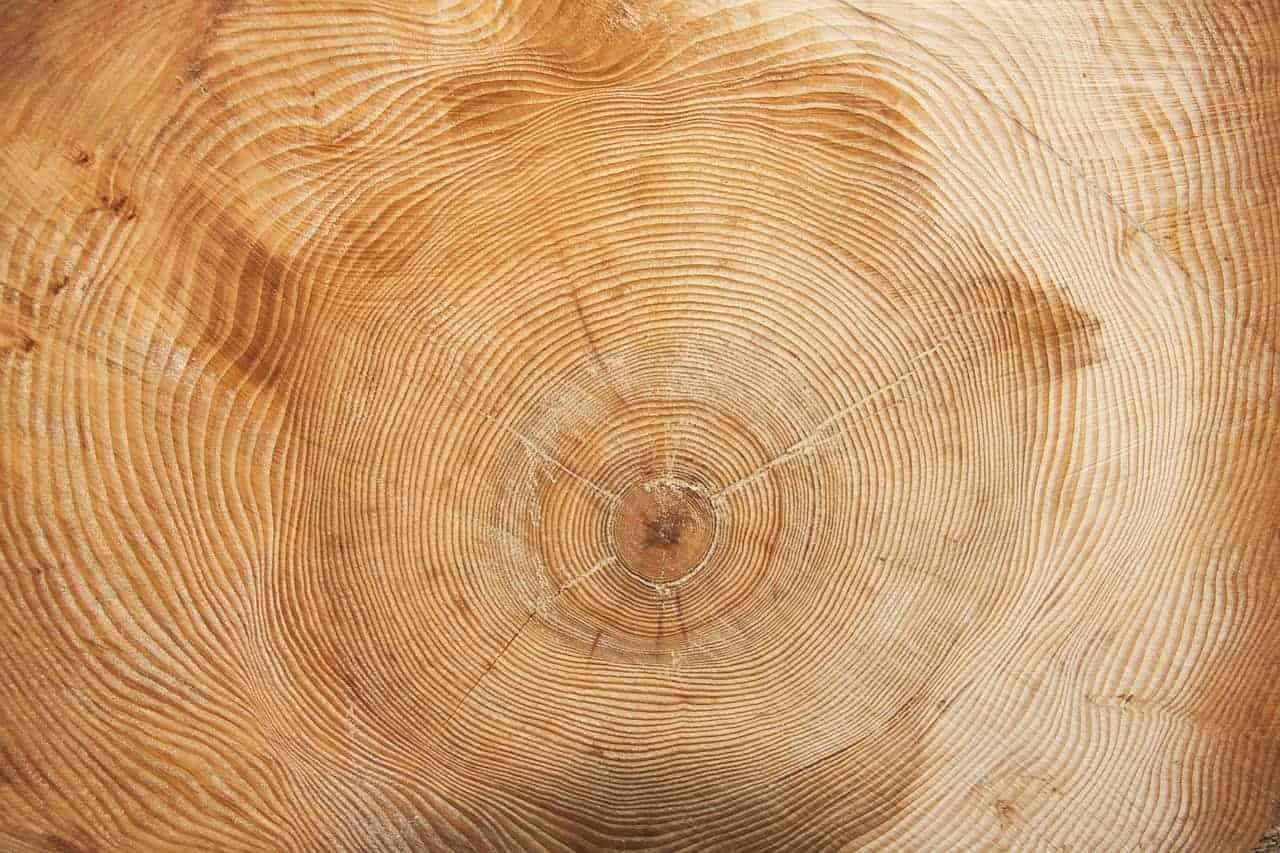 tree-wood-grain--2